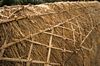 gal/Ridge Detail/_thb_mini-Thatching Pic (5).jpg